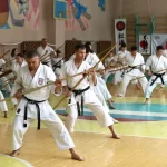 Занятия йогой, фитнесом в спортзале Клуб каратэ и кобудо Сёгун Нижний Новгород