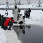 Занятия йогой, фитнесом в спортзале Клуб моржевания Бодрость Москва