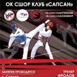 Занятия йогой, фитнесом в спортзале Клуб олимпийского тхэквондо Сапсан Липецк