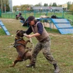Занятия йогой, фитнесом в спортзале Клуб Служебного Собаководства Лидер Москва