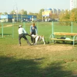 Занятия йогой, фитнесом в спортзале Клуб Служебного Собаководства Лидер Москва