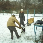 Занятия йогой, фитнесом в спортзале Клуб Служебного Собаководства Лидер Москва