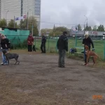 Занятия йогой, фитнесом в спортзале Клуб Служебного Собаководства Лидер Москва