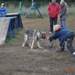 Занятия йогой, фитнесом в спортзале Клуб Служебного Собаководства Лидер Москва