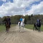 Занятия йогой, фитнесом в спортзале Конные прогулки Horsewalk Дзержинский