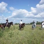 Занятия йогой, фитнесом в спортзале Конные прогулки Horsewalk Дзержинский