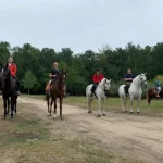 Занятия йогой, фитнесом в спортзале Конные прогулки Horsewalk Дзержинский