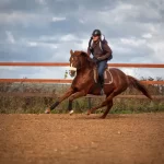 Занятия йогой, фитнесом в спортзале Конный клуб Сивка Москва