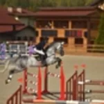 Занятия йогой, фитнесом в спортзале Конный спорт Новосибирск