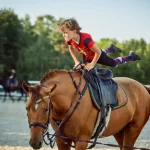 Занятия йогой, фитнесом в спортзале Конный спорт Новосибирск