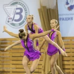 Занятия йогой, фитнесом в спортзале Королева Риска Сыктывкар