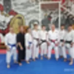 Занятия йогой, фитнесом в спортзале Koshiki Karate Нижний Новгород