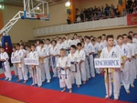 Спортивный клуб Красноярская детская юношеская федерация каратэ Киокусинкай