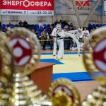 Занятия йогой, фитнесом в спортзале Красноярская Региональная Общественная Спортивная Организация Федерация Киокусинкай каратэ Красноярск