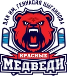 Спортивный клуб Красные медведи