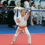 Занятия йогой, фитнесом в спортзале Красный Тигр Нижний Новгород