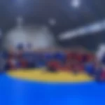 Занятия йогой, фитнесом в спортзале Кристалл МБУ ДО ДОЦ Бригантина Самара