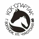 Занятия йогой, фитнесом в спортзале КСК Спартак Воронеж