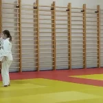 Занятия йогой, фитнесом в спортзале Кузница айкидо Пушкино
