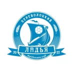 Занятия йогой, фитнесом в спортзале Ладья 64 Казань