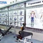 Занятия йогой, фитнесом в спортзале Лагуна Новокузнецк