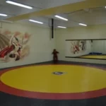 Занятия йогой, фитнесом в спортзале Лакедемон самбо Владимир