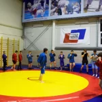 Занятия йогой, фитнесом в спортзале Lilballerine Новая Усмань