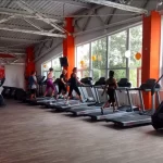Занятия йогой, фитнесом в спортзале Линия жизни Омск
