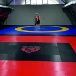 Занятия йогой, фитнесом в спортзале Lion EMS Art Studio Москва