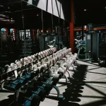 Занятия йогой, фитнесом в спортзале Lion Fitness Лобня