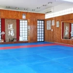 Занятия йогой, фитнесом в спортзале Макото Додзё Пенза