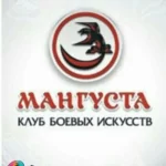 Занятия йогой, фитнесом в спортзале Mangusta Nsk Новосибирск