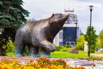 Спортивный клуб Медведь