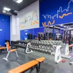 Занятия йогой, фитнесом в спортзале Мегаполис Омск