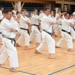 Занятия йогой, фитнесом в спортзале Межрегиональная общественная физкультурно-спортивная организация каминари каратэ Кемерово