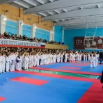 Занятия йогой, фитнесом в спортзале Межрегиональная общественная физкультурно-спортивная организация каминари каратэ Кемерово