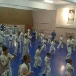 Занятия йогой, фитнесом в спортзале Межрегиональная общественная физкультурно-спортивная организация каминари каратэ Кемерово
