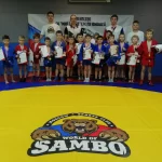 Занятия йогой, фитнесом в спортзале Мир самбо Москва