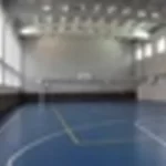 Занятия йогой, фитнесом в спортзале Многофункциональный спортивный зал Торжок