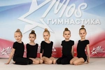 Спортивный клуб Мосгимнастика