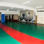 Занятия йогой, фитнесом в спортзале Московские Драконы Москва