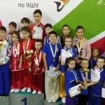 Занятия йогой, фитнесом в спортзале Мосо Федерация ушу г. Казани Казань