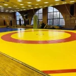Занятия йогой, фитнесом в спортзале МУ Спортивная школа олимпийского резерва № 17 г. Ярославля по борьбе самбо, зал борьбы Ярославль