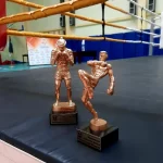 Занятия йогой, фитнесом в спортзале Муай Тай 53 Великий Новгород