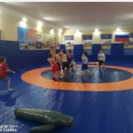 Занятия йогой, фитнесом в спортзале Муниципальное бюджетное учреждение физкультурно-спортивная организация Спортивная школа по спортивным и прикладным единоборствам Коломна
