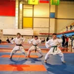 Занятия йогой, фитнесом в спортзале N Ippon Одинцово