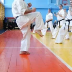 Занятия йогой, фитнесом в спортзале Национальный Союз Кекушинкай Тольятти