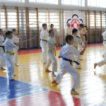 Занятия йогой, фитнесом в спортзале Национальный Союз Кекушинкай Тольятти