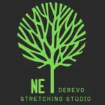 Спортивный клуб NeDerevo