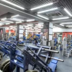 Занятия йогой, фитнесом в спортзале Невский Санкт-Петербург
